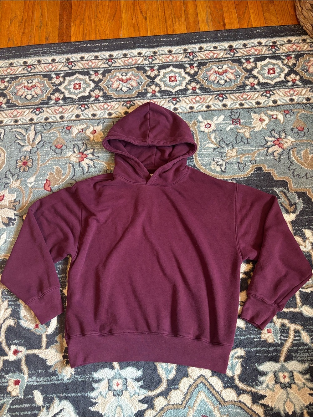 American Eagle Outfitters Plum Hooded Sweatshirt